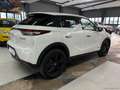 DS Automobiles DS 3 Crossback BlueHDi 130 aut. Per.Line Bianco - thumbnail 4
