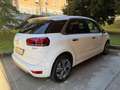 Citroen C4 Picasso 1.6 e-hdi Exclusive 115cv Bianco - thumbnail 5