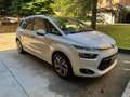 Citroen C4 Picasso 1.6 e-hdi Exclusive 115cv Bianco - thumbnail 6