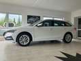 Skoda Octavia Style 1.5 TSI e-TEC Mild-Hybrid Virtual Weiß - thumbnail 5