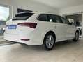 Skoda Octavia Style 1.5 TSI e-TEC Mild-Hybrid Virtual Weiß - thumbnail 3