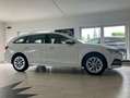 Skoda Octavia Style 1.5 TSI e-TEC Mild-Hybrid Virtual Weiß - thumbnail 2