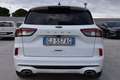 Ford Kuga 1.5 EcoBlue 120 CV 2WD ST-Line Bianco - thumbnail 5