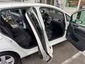 Volkswagen Golf Sportsvan 1,6 TDI DSG Comfortline AHK Weiß - thumbnail 11
