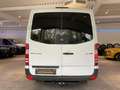 Mercedes-Benz Sprinter 311 CDI *8-Sitzer*Lang* Klima* Alb - thumbnail 11
