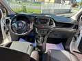 Fiat Doblo 1.3 mjt 16v Easy s&s 95cv my19 Weiß - thumbnail 15