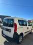Fiat Doblo 1.3 mjt 16v Easy s&s 95cv my19 Weiß - thumbnail 8