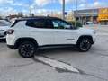 Jeep Compass Compass 1.3 Turbo T4 240 CV PHEV AT6 4xe Trailhawk Wit - thumbnail 5