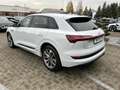 Audi e-tron 55 quattro S line*VC*Navi*LED*Kamera* Blanc - thumbnail 8
