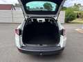 Renault Megane Grandtour Limited Energy dCi 110 - Neues Pickerl - Weiß - thumbnail 19