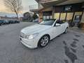 Mercedes-Benz E 220 CABRIO Wit - thumbnail 28