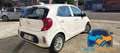 Kia Picanto 1.0 12V 5p. Urban Special Edition "PROMO" Bianco - thumbnail 5