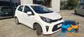 Kia Picanto 1.0 12V 5p. Urban Special Edition "PROMO" Bianco - thumbnail 7