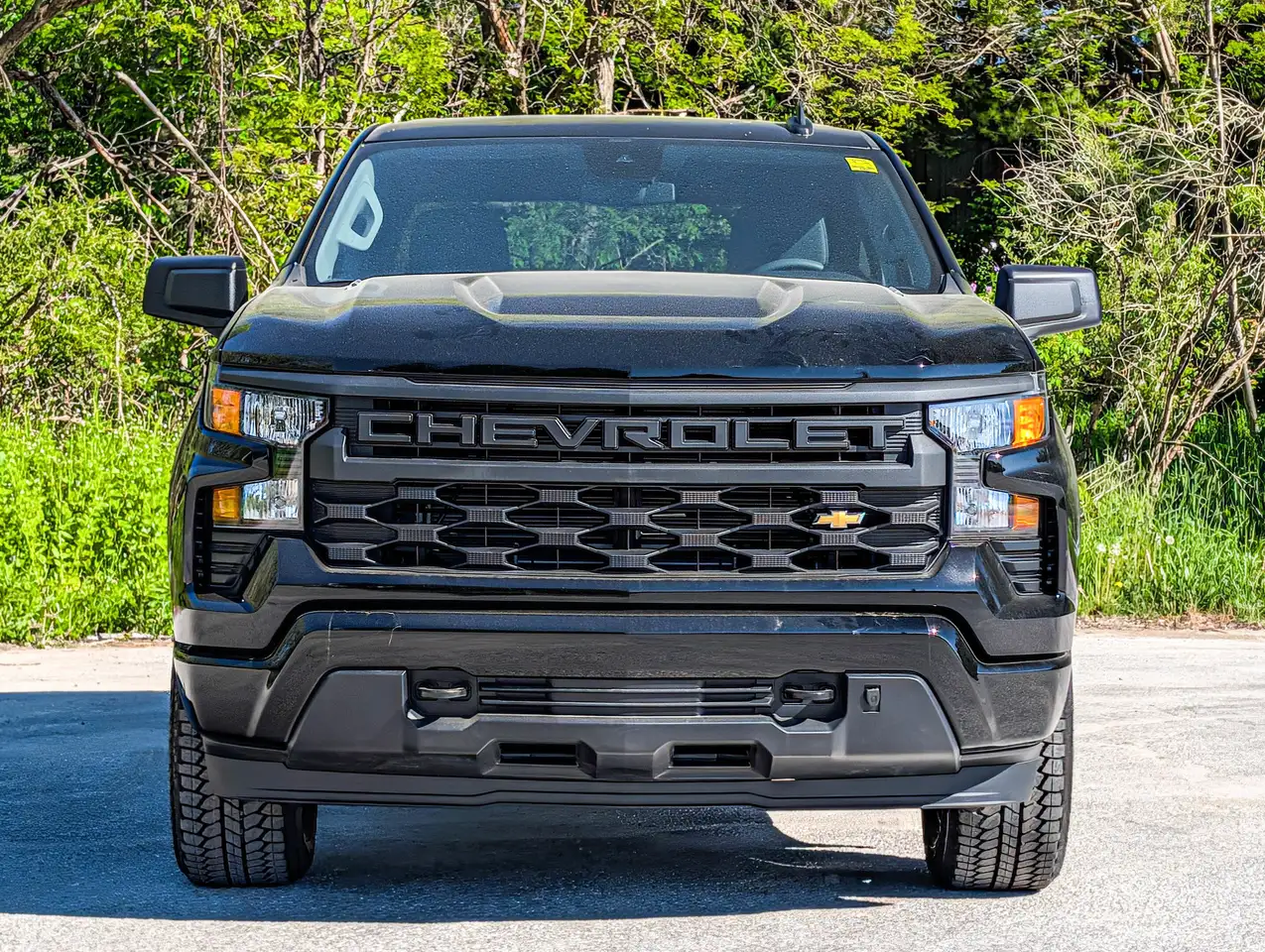 Chevrolet Silverado 1500 снимка Chevrolet Silverado 1500
