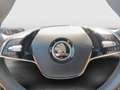 Skoda Fabia Ambition Grau - thumbnail 14