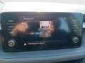Skoda Fabia Ambition Grau - thumbnail 16