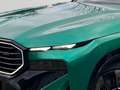 BMW XM 4.4 DA Prof. 23" AHK Sitzlüft. PA+ H/K HUD Verde - thumbnail 8