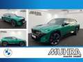 BMW XM 4.4 DA Prof. 23" AHK Sitzlüft. PA+ H/K HUD Verde - thumbnail 1