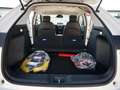 Honda e:Ny1 ACC+BLIND-SPOT+LED+INDUKTIVES LADEN Weiß - thumbnail 19