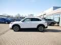 Honda e:Ny1 ACC+BLIND-SPOT+LED+INDUKTIVES LADEN Weiß - thumbnail 9
