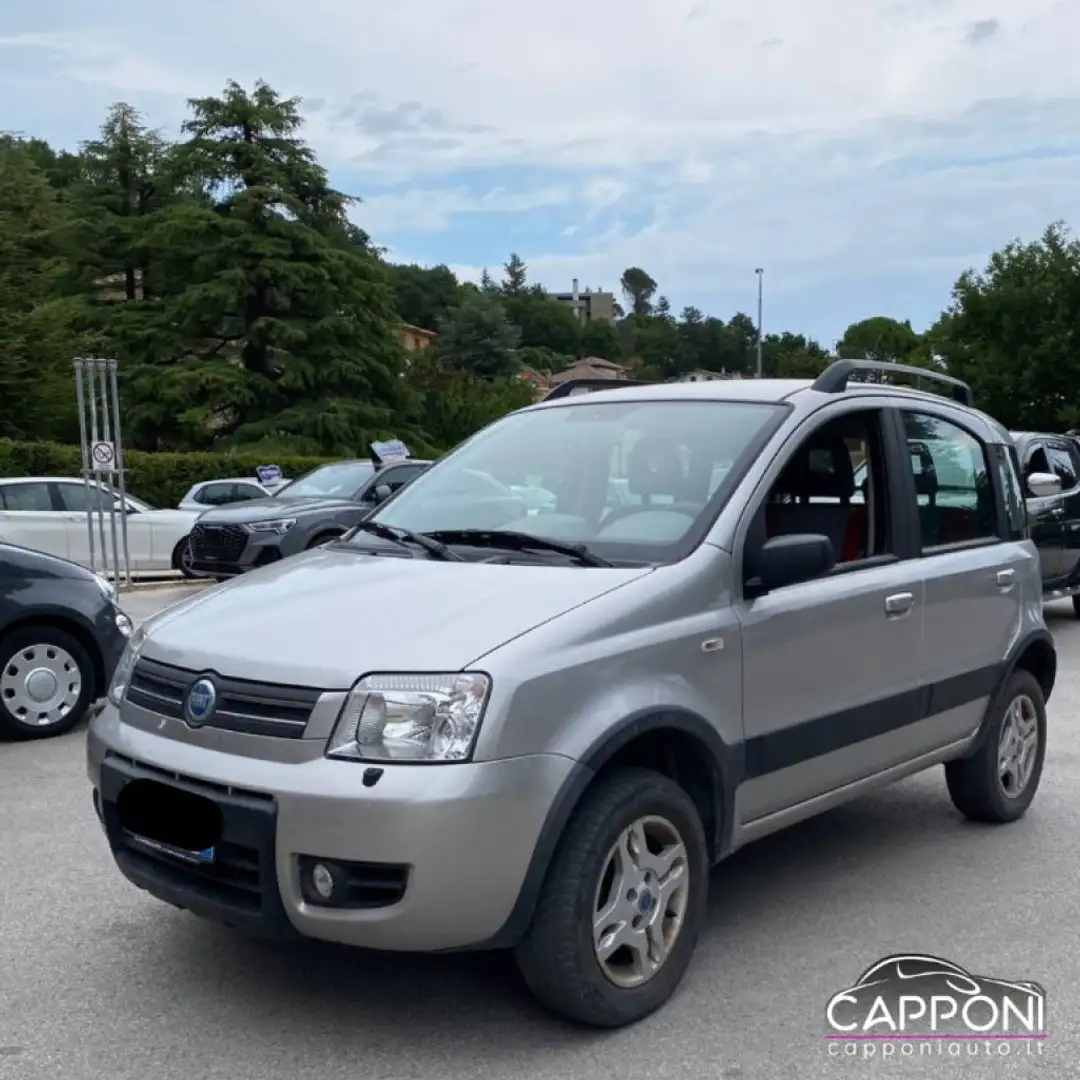 Fiat Panda 1.3 MJT 4x4 - NEOPATENTATI Zilver - 1