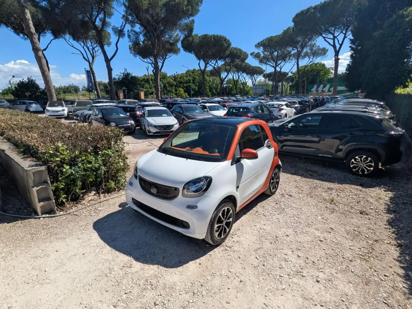 smart forTwo 1.0cc 71cv TETTO PANORAMA CRUISE CONTROL Bianco - 1