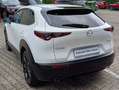 Mazda CX-30 2.0L e-SKYACTIV G 122ps 6MT FWD Homura Bianco - thumbnail 3