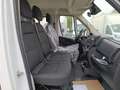 Fiat Ducato Ch. Doble Cb. Maxi 35 2.2BlueHDi L4 H1 103K - thumbnail 9