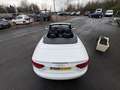 Audi Cabriolet 2.0 TDI 170CH DPF S LINE Blanco - thumbnail 7