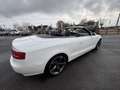 Audi Cabriolet 2.0 TDI 170CH DPF S LINE Blanco - thumbnail 5