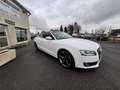 Audi Cabriolet 2.0 TDI 170CH DPF S LINE Blanco - thumbnail 4