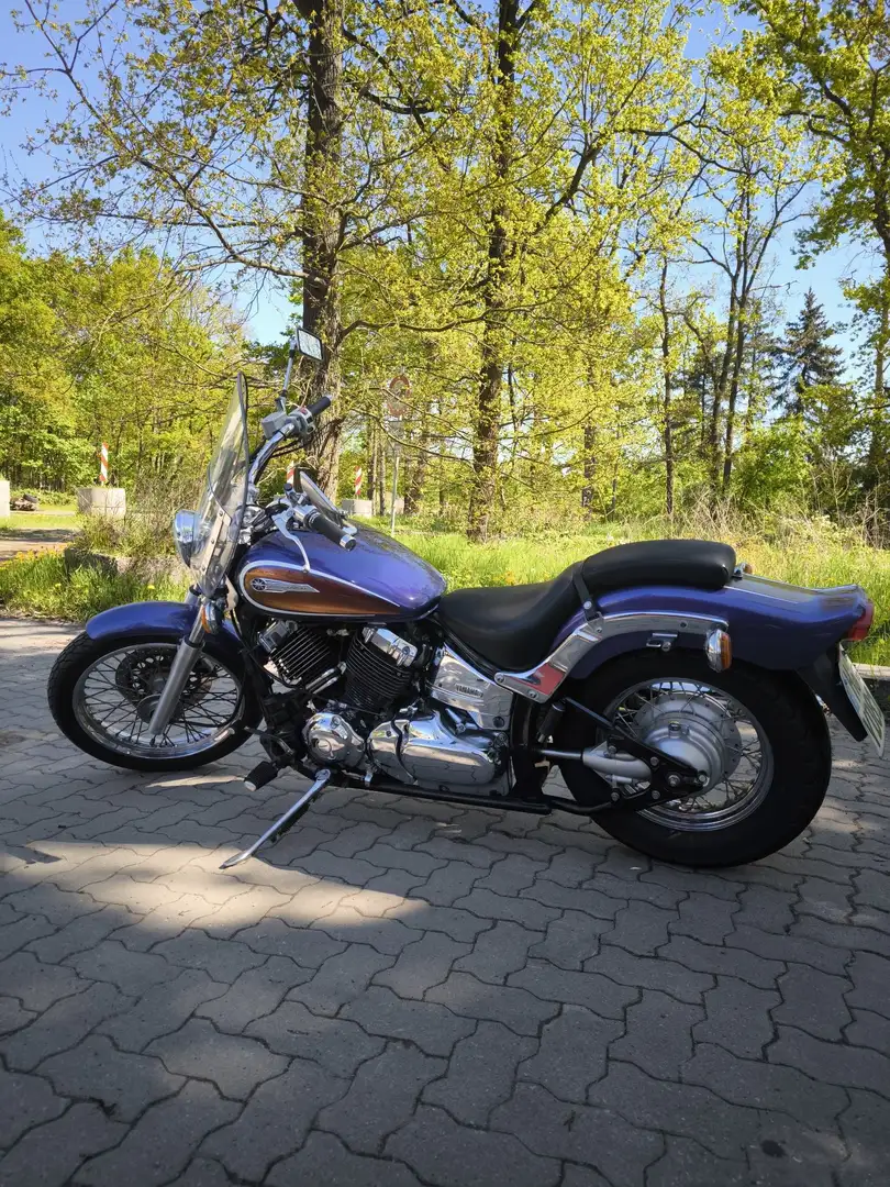 Yamaha XVS 650 Violet - 1