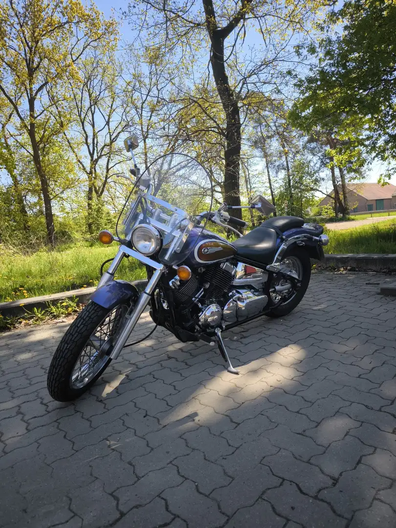 Yamaha XVS 650 Violet - 2