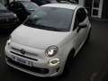 Fiat 500 0,9 Twin Air S  Navi M+S Weiß - thumbnail 1