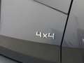 Skoda Karoq 4x4 Selection TDI DSG Grau - thumbnail 5