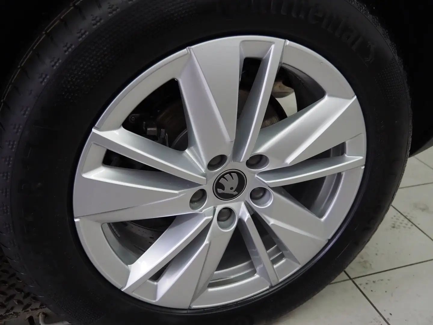 Skoda Karoq 4x4 Selection TDI DSG Grau - 2