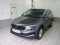 Skoda Karoq 4x4 Selection TDI DSG Grau - thumbnail 1