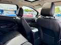 Ford EcoSport ST-Line 1.0 EcoBoost Automatik Bi-Xenon Grau - thumbnail 15