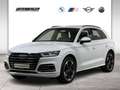 Audi Q5 55 TFSI e quattro S line ACC HUD Matrix Weiß - thumbnail 1