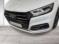 Audi Q5 55 TFSI e quattro S line ACC HUD Matrix Weiß - thumbnail 6