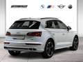 Audi Q5 55 TFSI e quattro S line ACC HUD Matrix Weiß - thumbnail 3