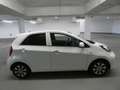 Kia Picanto Dream Team*2 Hand*Klimaautomatik Weiß - thumbnail 5