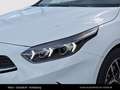 Kia Ceed / cee'd CEED/GOLD/UVO/1.0 TGDI/MT6/100 Weiß - thumbnail 11