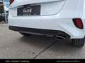 Kia Ceed / cee'd CEED/GOLD/UVO/1.0 TGDI/MT6/100 Weiß - thumbnail 16