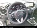 Kia Ceed / cee'd CEED/GOLD/UVO/1.0 TGDI/MT6/100 Weiß - thumbnail 18