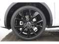 Volkswagen T-Roc 1.5 TSI DSG R-line Matrix NAVI ACC Weiß - thumbnail 6
