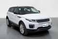 Land Rover Range Rover Evoque 5 Porte 2.0 TD4 HSE Bianco - thumbnail 3