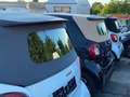 smart forTwo Cabrio_Turbo90PS_Leder_Navi_Rückfahrkamera_LED Wit - thumbnail 30