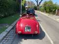Fiat Topolino testata Marino Brandoli Red - thumbnail 3