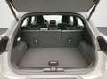 Ford Puma 1,0 EcoBoost Hybrid ST-Line X Gris - thumbnail 7